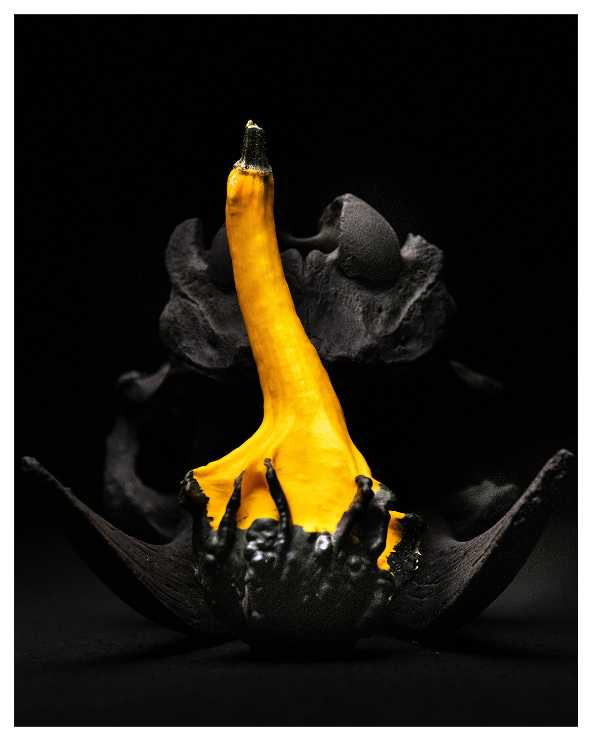 product photography pumpkin